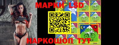 бошки Гагарин