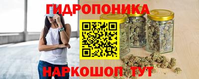 бошки Гагарин