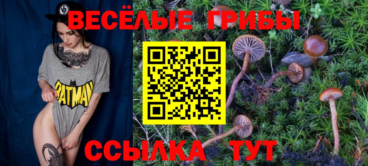 Псилоцибиновые грибы мицелий Туапсе