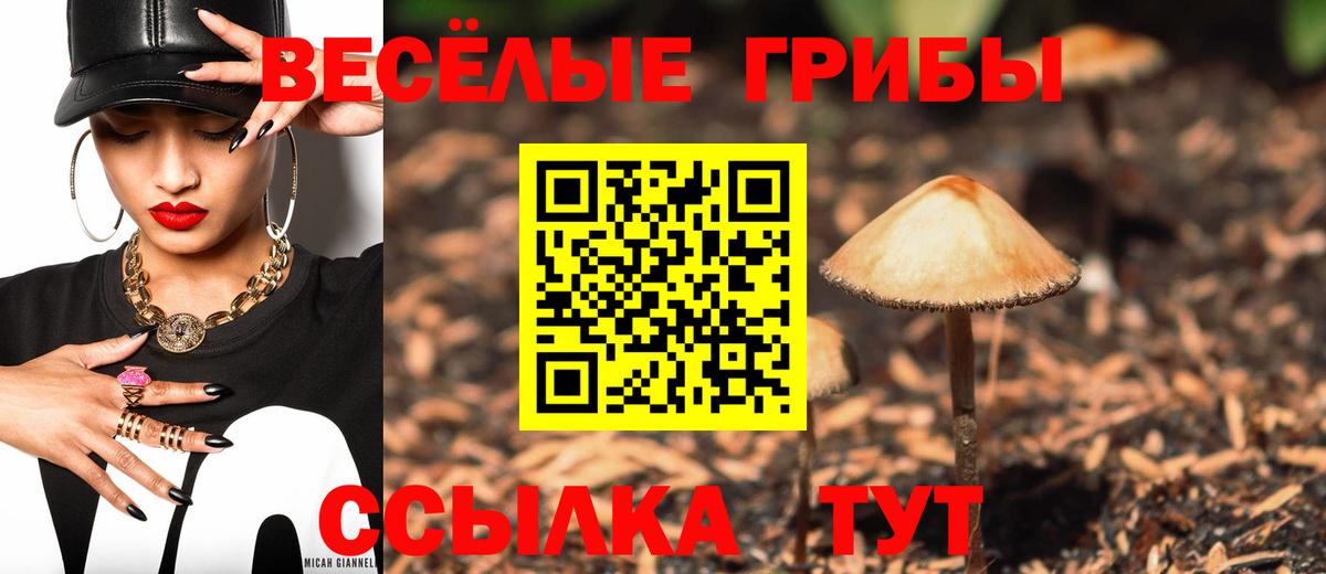 Псилоцибиновые грибы мицелий  где продают   Туапсе  Вход с VPN 